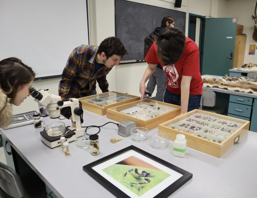 Visitors at Darwin Day, observing terrestrial arthropod specimens from the SDSU Biodiversity Museum.