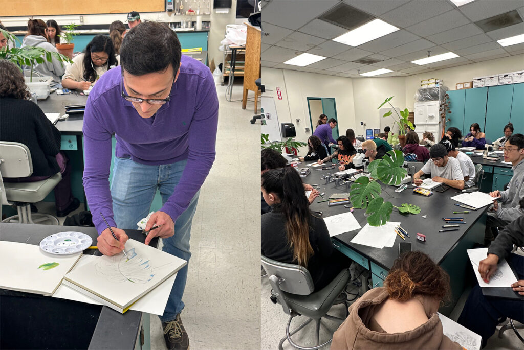 Left: Brazilian artist Sergio Allevato, drawing. Right: Art and Plant Systematics classes interacting in drawing plants.