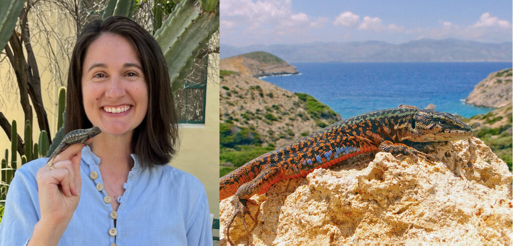 Left: Dr. Kinsey Brock Herpetologist at SDSU. Right: Lizard in Greece.